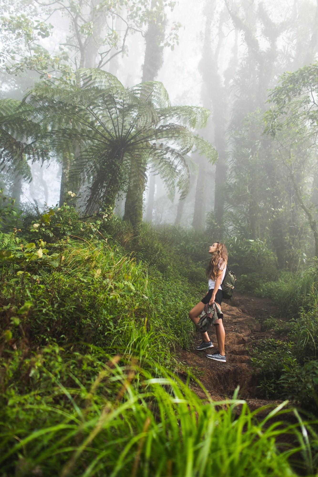 Woman walking in mystical tropical foggy rainforest. Huge plants and jurassic period atmosphere